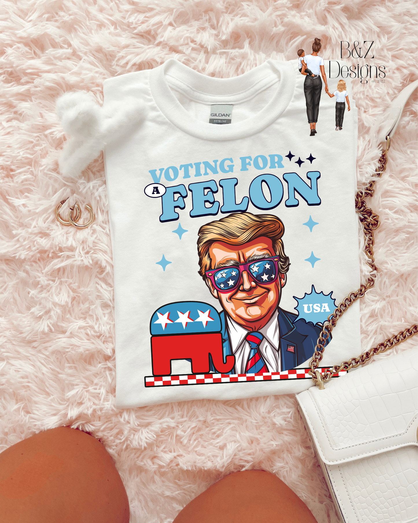 Voting For A Felon